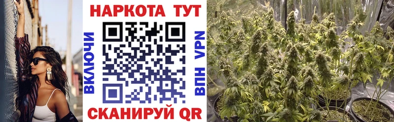 Купить закладку Лесной Конопля  МЕТАДОН  Лсд 25  Амфетамин  Меф мяу мяу  Alpha PVP  Гашиш 